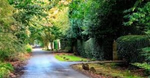 ALWOODLEY